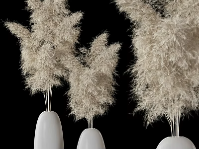 Decorative White Vases With Fluffy White Pampas Grass For Modern Interior 3d model
