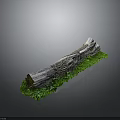 Natural Wooden Log Decorative Piece With Green Grass Base On Dark Background
