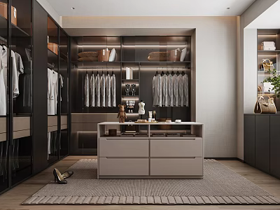 Modern Walk In Closet Interior With Wardrobes Clothing Shoes And Bags 3d model