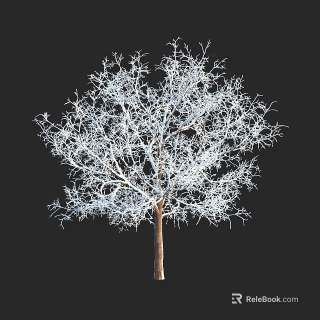Leafless Tree with Intricate Branches Isolated on Solid Black Background 3d model