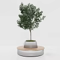 Modern Round Outdoor Chair with Wooden Accent Silver Base White Planter and Small Tree