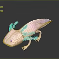 Pink Axolotl With Feathery External Gills On Dark Reflective Background 3d model