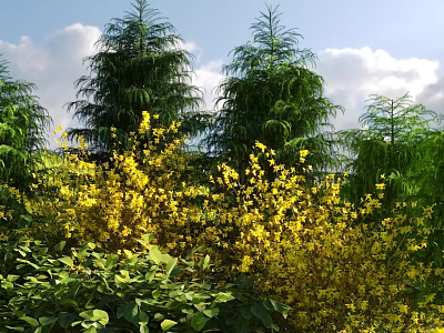Bright Yellow Flowering Shrubs Growing with Green Trees Under Clear Blue Sky 3d model