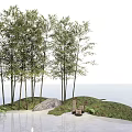 Lush Bamboo Grove Scene With Green Hillside Stone And Calm Water Reflection