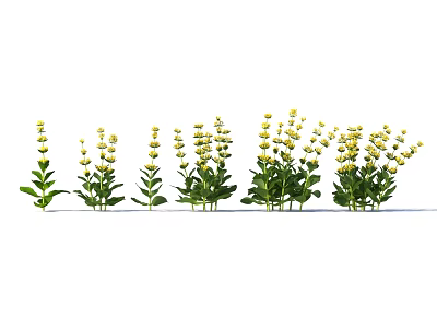 Linear Decorative White Flowers With Green Leaves Multiple Plants Arrangement 3d model