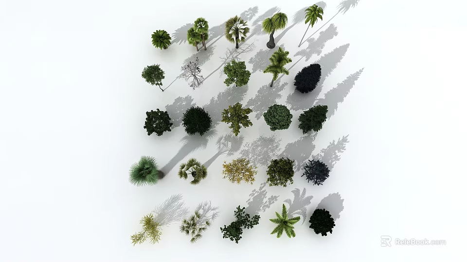 Different Types of Arbor Trees Collection with Shadows on White Background 3d model 