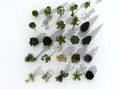 Different Types of Arbor Trees Collection with Shadows on White Background 3d model