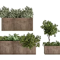 Large Rectangular Concrete Flower Planters With Green Shrubs And Small Trees 3d model