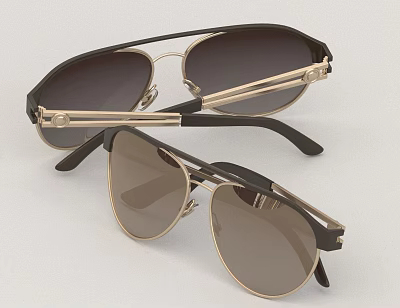 Sunglasses Glasses 3d model