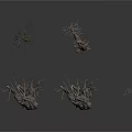 Group of Withered Trees With Distinct Twisted Shapes And Bare Branches Including One Smaller