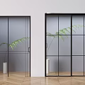Black Frame Sliding Doors With Frosted Clear Glass And Green Plant In White Vase