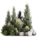 Various Green Plants Including Tall Trees And Low Herbs With Stones