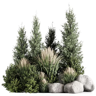Various Green Plants Including Tall Trees And Low Herbs With Stones 3d model