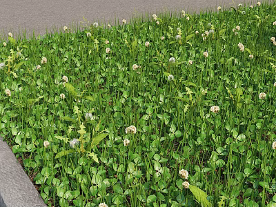 modern grass 3d model modern grass 3d model