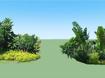 Lush Outdoor Plant Combination With Tropical Leaves Green Bushes And Colorful Blooms 3d model