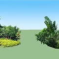 Lush Outdoor Plant Combination With Tropical Leaves Green Bushes And Colorful Blooms