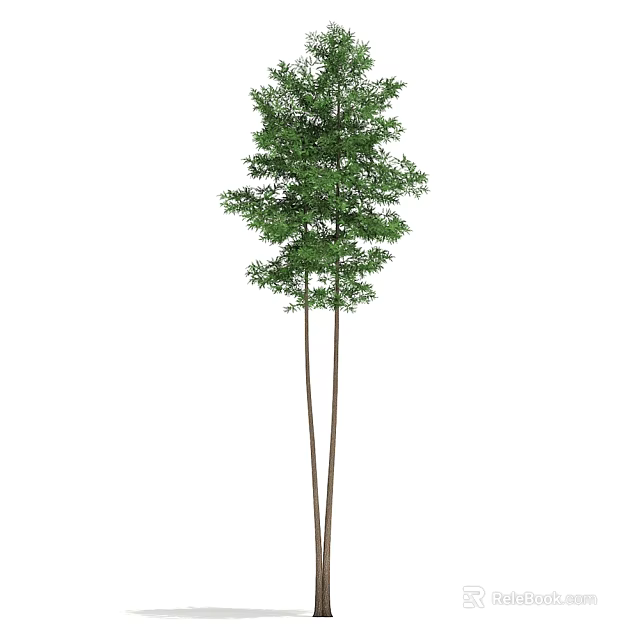 Tall Green Tree With Slender Trunks And Lush Foliage In Natural Landscape 3d model 
