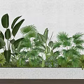 Green Plants in Long White Concrete Planter Against Light Gray Wall and Light Colored Floor