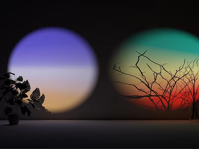 Colorful Gradient Light Circles With Green Plant And Bare Branches In Dark Room 3d model