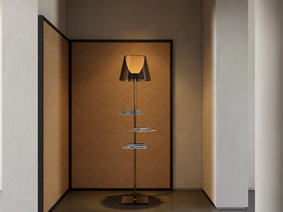 Modern Floor Lamp With Metal Stand Multiple Shelves And Corkboard Background Design 3d model