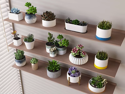 Bonsai Potted Plants Display On Wooden Shelves With Various Succulents And Decorative Pots 3d model