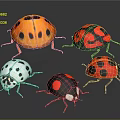 Colorful Ladybugs With Different Spots And Vibrant Shells On Dark Background