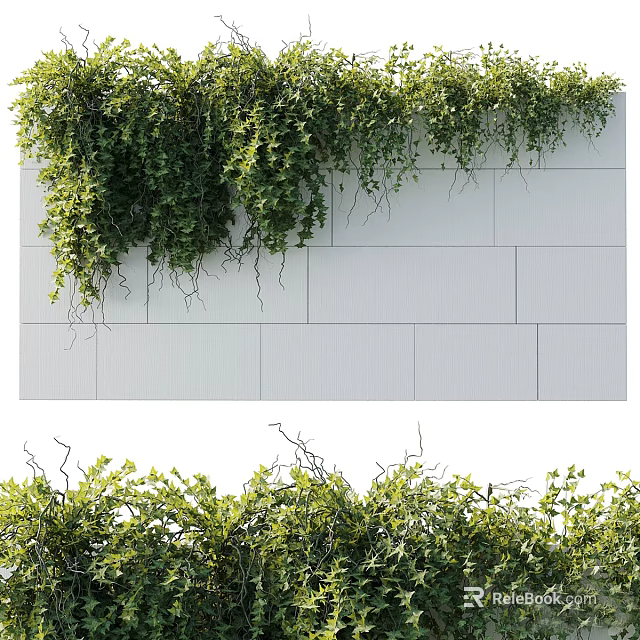 Lush Green Vines Decorating White Wall And Natural Foliage 3d model 