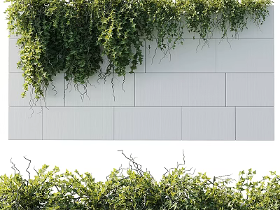 Lush Green Vines Decorating White Wall And Natural Foliage 3d model