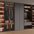 Modern Wardrobe Interior Design With Hanging Area Storage Drawers And Lighting 3d model