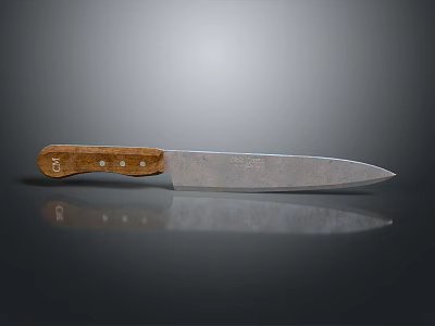 Durable Sharp Kitchen Knife With Wooden Handle And Polished Metal Blade 3d model