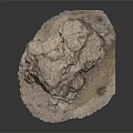 Natural Stone Specimen Featuring Rough Surface Intricate Hole Structure And Textural Details 3d model