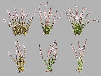 Natural Growing Flowering Plants With Green Leaves And Pink White Small Flowers In Various Forms 3d model