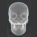 Realistic Highly Detailed Male Human Skull Anatomical Model On Dark Background
