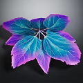 Vibrant Purple And Blue Gradient Leaves With Multiple Blades On Black Background