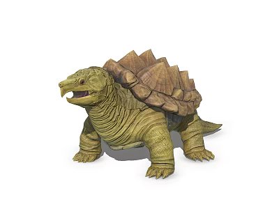 Aquatic Turtle With Thick Shell Detailed 3D Model On White Background 3d model