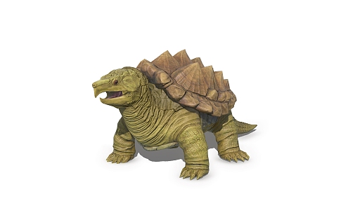 Crocodile turtle marine life 3d model