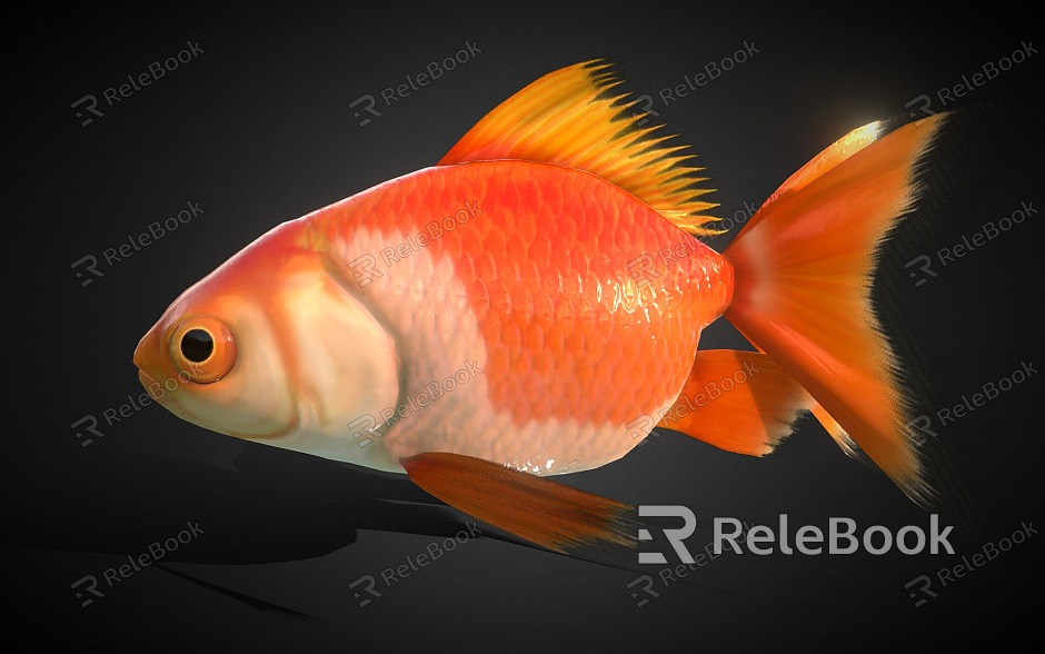 goldfish koi ornamental fish model