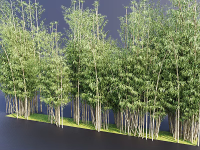 Lush Green Bamboo Forest With Tall Poles And Thick Leaves On Grass 3d model