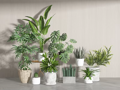 potted plant bonsai plant green plant combination 3d model
