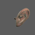 Realistic Human Ear 3D Model With Detailed Texture On Light Blue Background 3d model