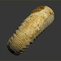 Chi chrysanthemum stone ancient fossil stone chrysanthemum fossil items 3d model