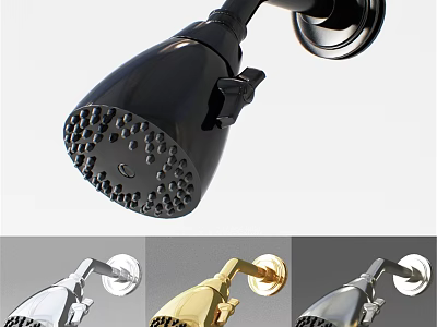 Modern Handheld Shower Faucet Design With Black Silver And Gold Color Options 3d model
