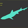 Realistic Brownish Shark With Red Fins In Side View On Smooth Reflective Surface