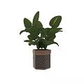 Decorative Potted Plant with Green Leaves in Hexagonal Wooden Black Geometric Pattern Pot