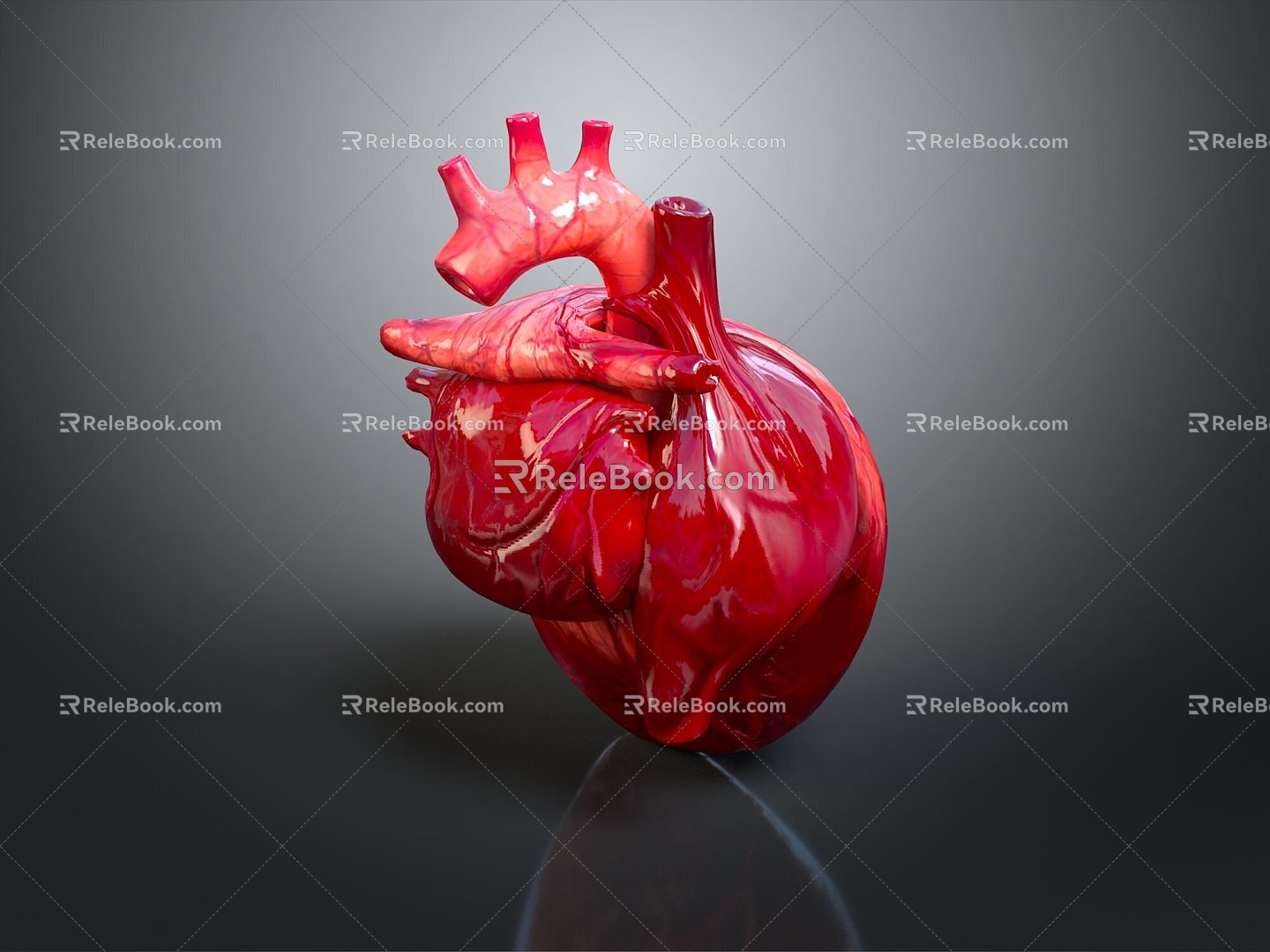 Heart Heart Human Heart Heart Anatomical Organs Human Organs Human Body 3d model