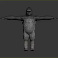 Realistic Gorilla 3D Model in Standing Pose With Arms Outstretched Gray Background 3d model