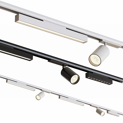 Modern Track Mounted Downlights And Spotlights In Black White Design For Home Interior Lighting 3d model
