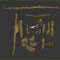 Wood And Stone Natural Branches Moss Covered Logs Slabs Display With Human Figure For Scale