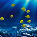 Group of Yellow Fish Swimming in Blue Ocean Water with Sunlight Rays and Coral Reef
