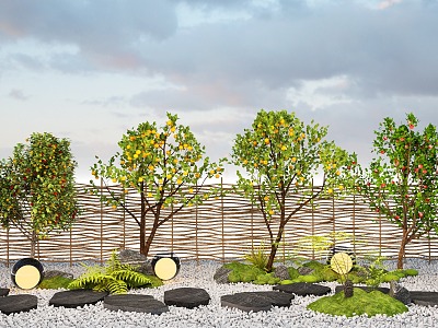 Modern fruit tree orange tree flower fruit tree grapefruit tree peach tree loquat tree 3d model